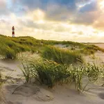 Strandperle Og
