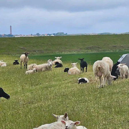 Strandperle Og Апартаменты *