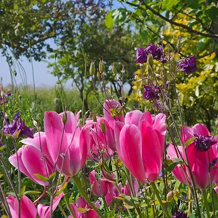 Апартаменты Strandperle Og