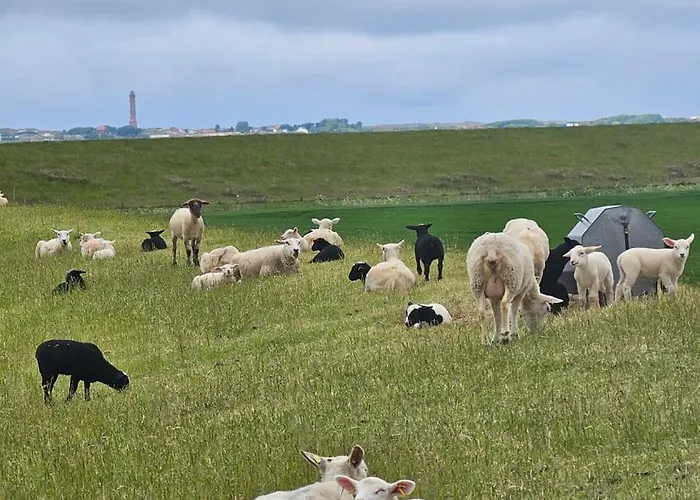 Strandperle Og 公寓 *