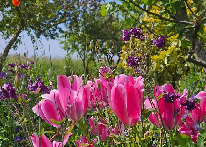 公寓 Strandperle Og